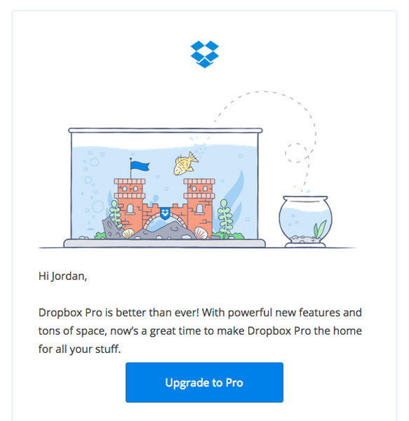 Dropbox Pro Email Marketing